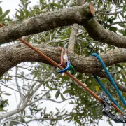 Kit multiTOOL Fimble TEUFELBERGER