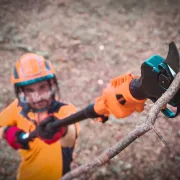 Perche Télescopique pour BCL240 BAHCO