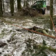 Elingue de Dérivation / Sequorope COUSIN - Ø10 mm