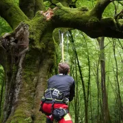 Big Shot NOTCH Complet