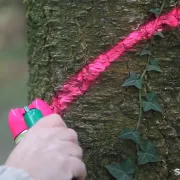 Peinture Forestière SOPPEC Fluo