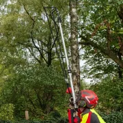 Lanceur Rocket Master ARBORAPID BERGER