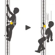 Harnais Antichute VOLT - PETZL