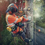 Casque arboriste Spire Vent HUSQVARNA